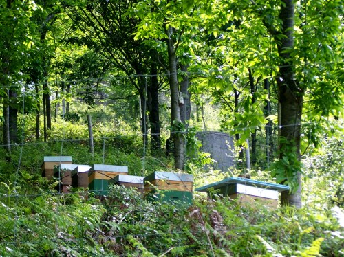 Roteiro polo Monte Gagán.