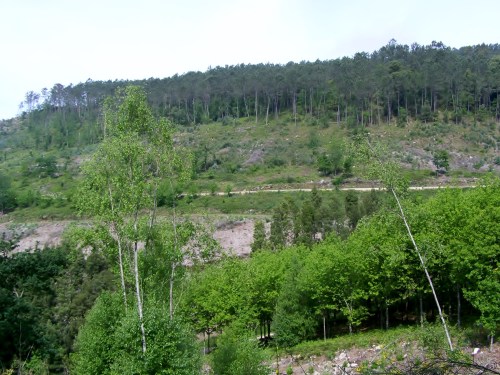 Roteiro polo Monte Gagán.