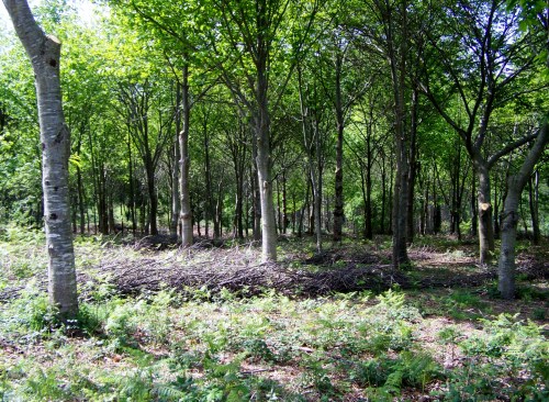 Roteiro polo Monte Gagán.