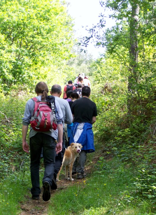 Roteiro polo Monte Gagán.