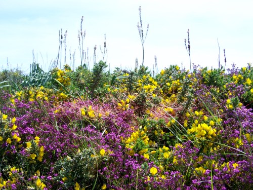 Roteiro polo Monte Gagán.