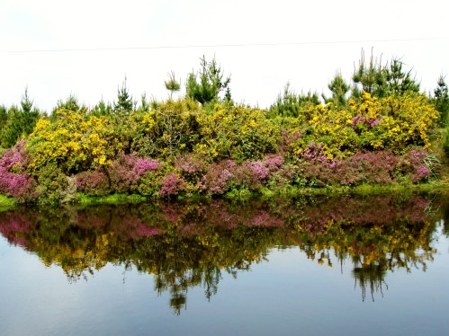 Roteiro polo Monte Gagán.