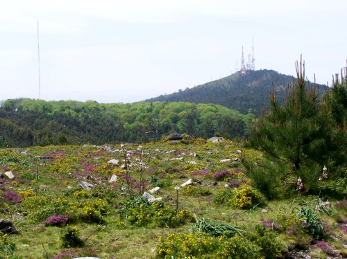 Roteiro polo Monte Gagán.
