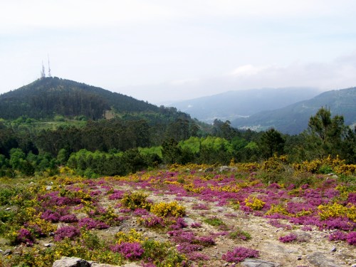 Roteiro polo Monte Gagán.