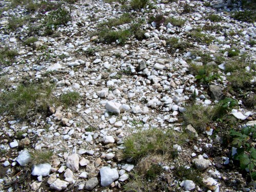 Roteiro polo Monte Gagán.