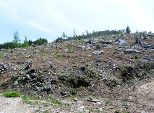 Roteiro polo Monte Gagán.