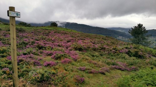 Sinaléctica marcando a continuación da ruta.