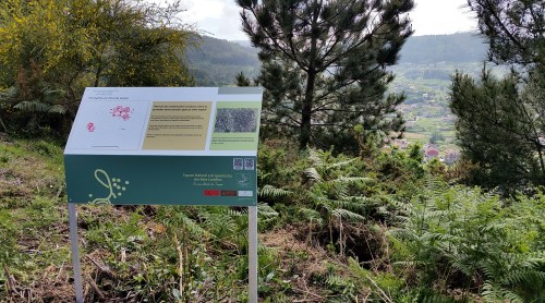 Panel informativo nos petroglifos de Pinal de Caeiro.