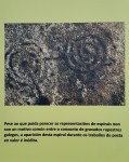 Panel informativo nos petroglifos de Pinal de&nbsp;Caeiro.