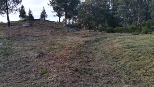 Desbroce arredor do conxunto rupestre do Pornedo.