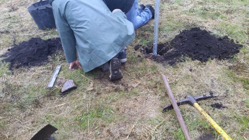 Panel explicativo nos petroglifos de Pornedo.