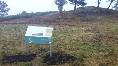 Panel explicativo nos petroglifos de Pornedo.