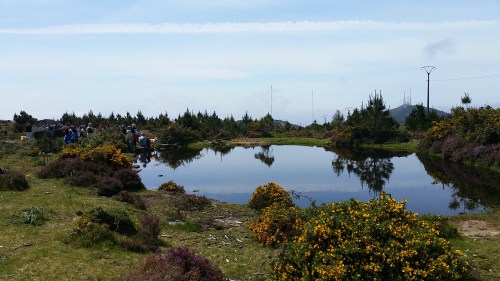 Roteiro polo Monte Gagán.