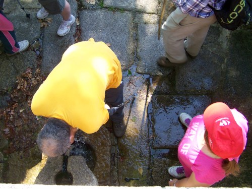Inauguración do Espazo Sete Camiños.
