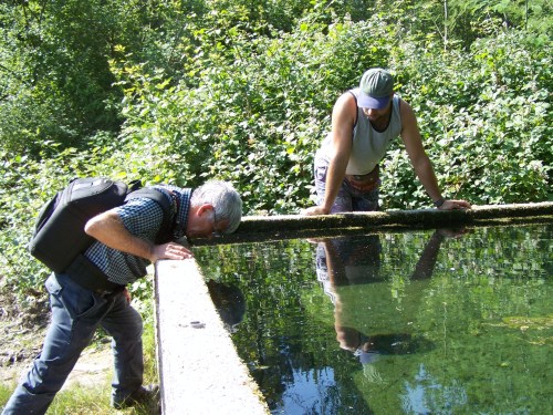 Inauguración do Espazo Sete Camiños.