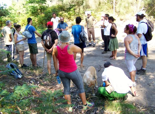 Roteiro pola Serra da Madalena.