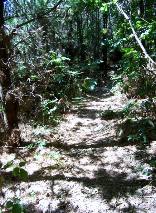 Roteiro pola Serra da Madalena.