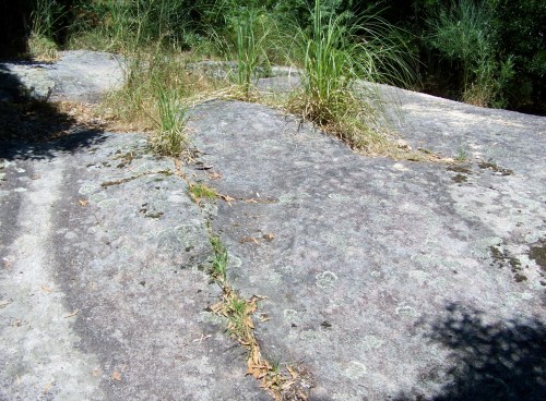 Roteiro pola Serra da Madalena.