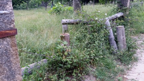 Peche de madeira que cómpre repoñer.