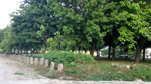 Desbroce da arboreda do Pituco.