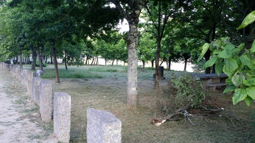 Desbroce da arboreda do Pituco.