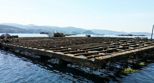 Navegando pola ría de Pontevedra.