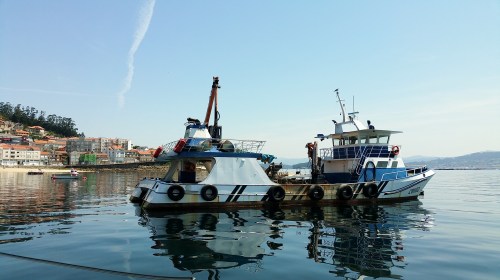 Navegando pola ría de Pontevedra.