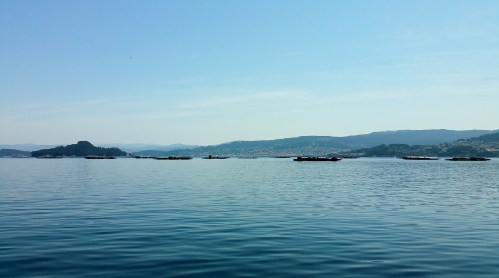 Navegando pola ría de Pontevedra.