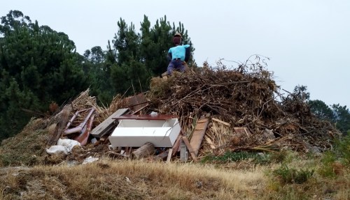 Foleón no Souto da Laxe.