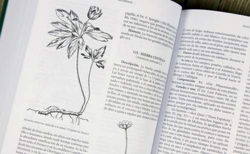 "Hierbas medicinales", Pío Font-Quer