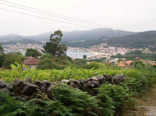 Vista dende A Fanica.