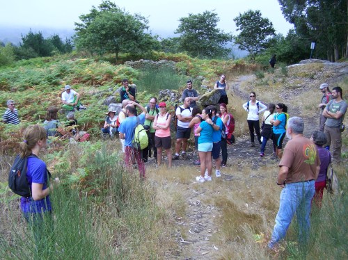 Adea As Cortes-Punxeiro