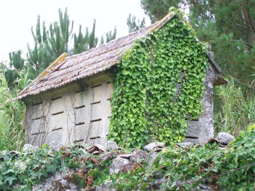 Hórreo na aldea de Donón
