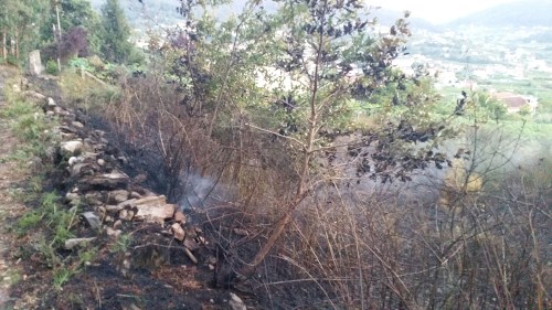 Finca afectada polo lume no Casal.