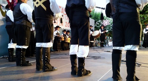 Festival Folclórico de Airiños, Festas do Carme 2015