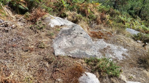 Petroglifos de Pinal de Caeiro