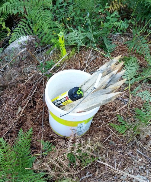 Obras de ACUAES no Monte Pituco.