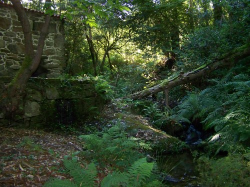 Ruta dos Frades (río Bispo), Bueu, xullo 2015