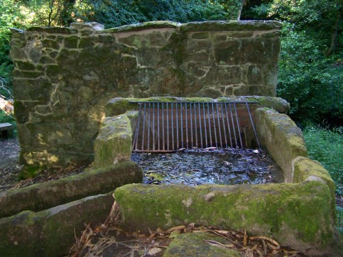 Ruta dos Frades (río Bispo), Bueu, xullo 2015