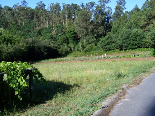 Ruta dos Frades (río Bispo), Bueu, xullo 2015