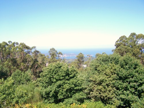 Ruta dos Frades (río Bispo), Bueu, xullo 2015