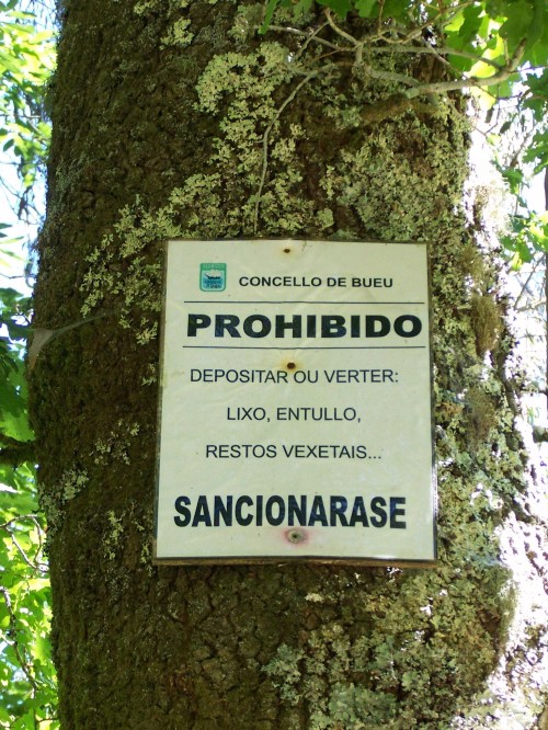 Ruta dos Frades (río Bispo), Bueu, xullo 2015