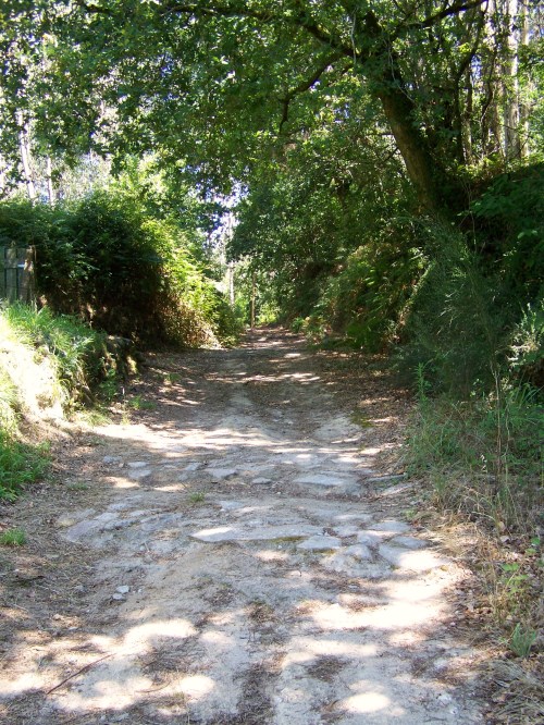 Ruta dos Frades (río Bispo), Bueu, xullo 2015