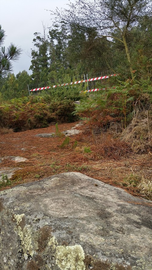 Dende os petroglifos de Pinal de Caeiro.
