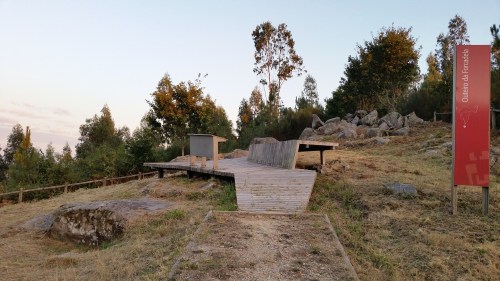 Visita guiada aos petroglifos de Tourón con X.L. Vilar