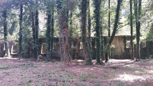 Ruínas do antigo lazareto