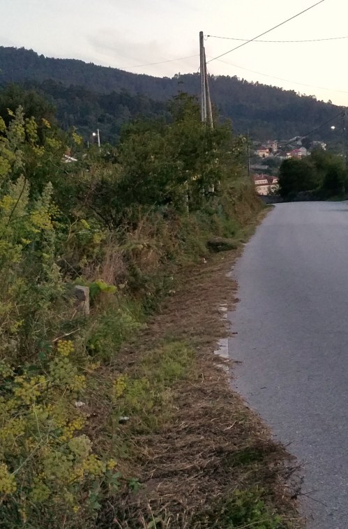 Beirarrúas desbrozadas