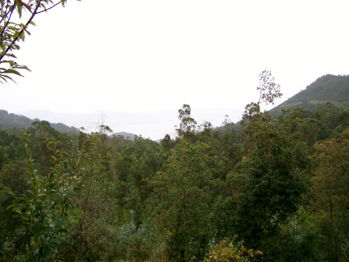 Ruta polo río da Fraga coa Plataforma dos Montes do Morrazo.