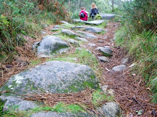 Antigo camiño de carro.