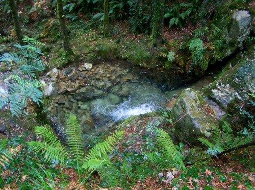 Ruta polo río da Fraga coa Plataforma dos Montes do Morrazo.
